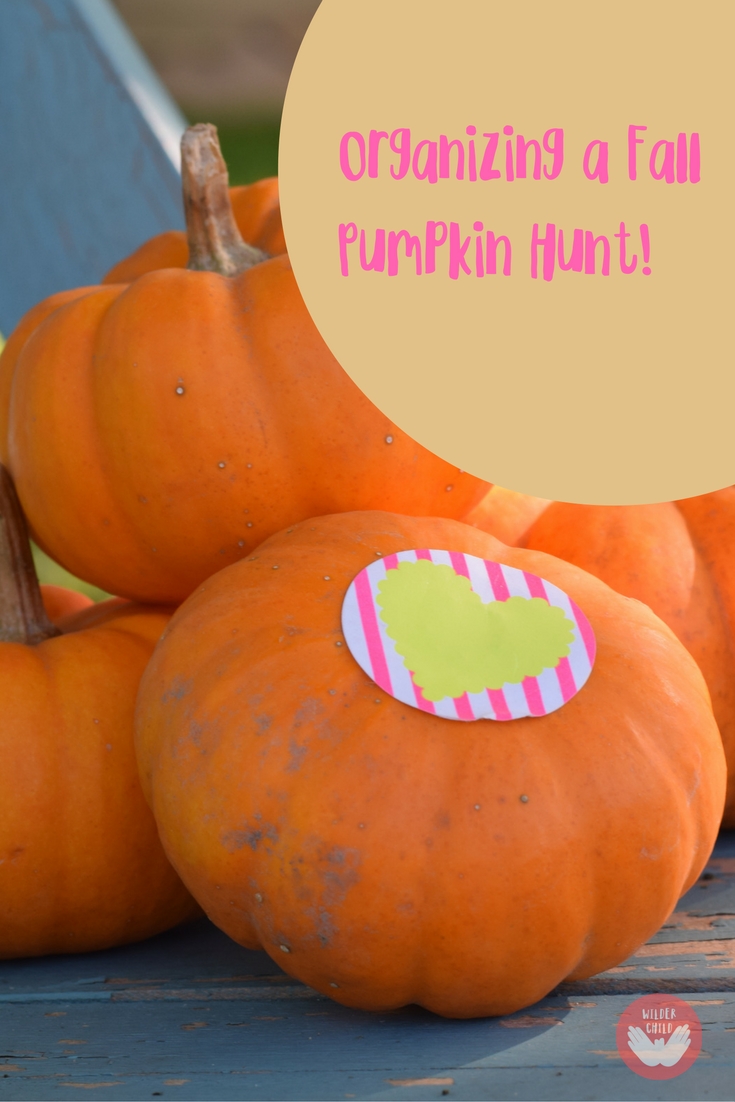 Organizing a fall pumpkin hunt