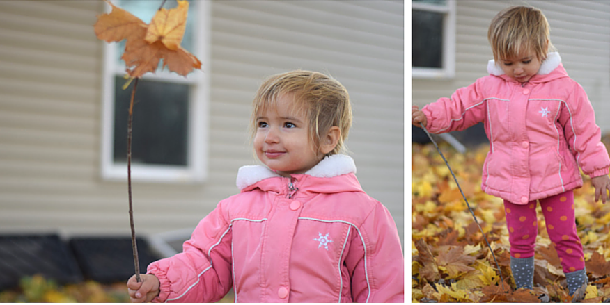 Let’s Go Fishing for Leaves!