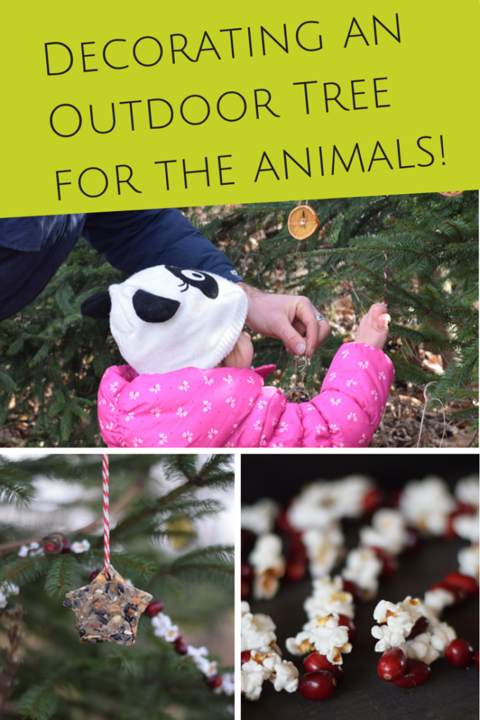 decorating a outdoor tree for the animals