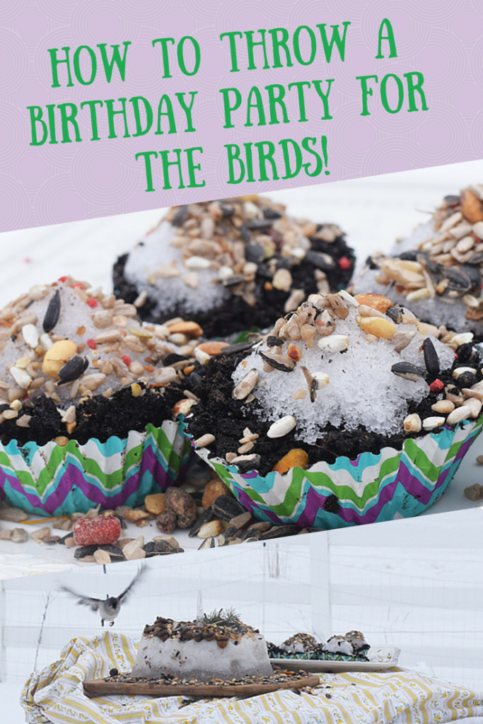 How to throw a birthday party for the birds