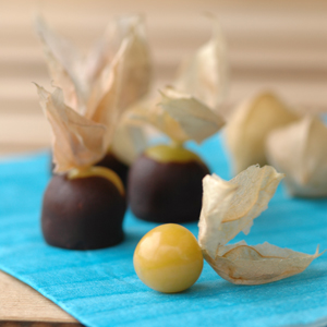 Chocolate Covered Ground Cherry Recipe