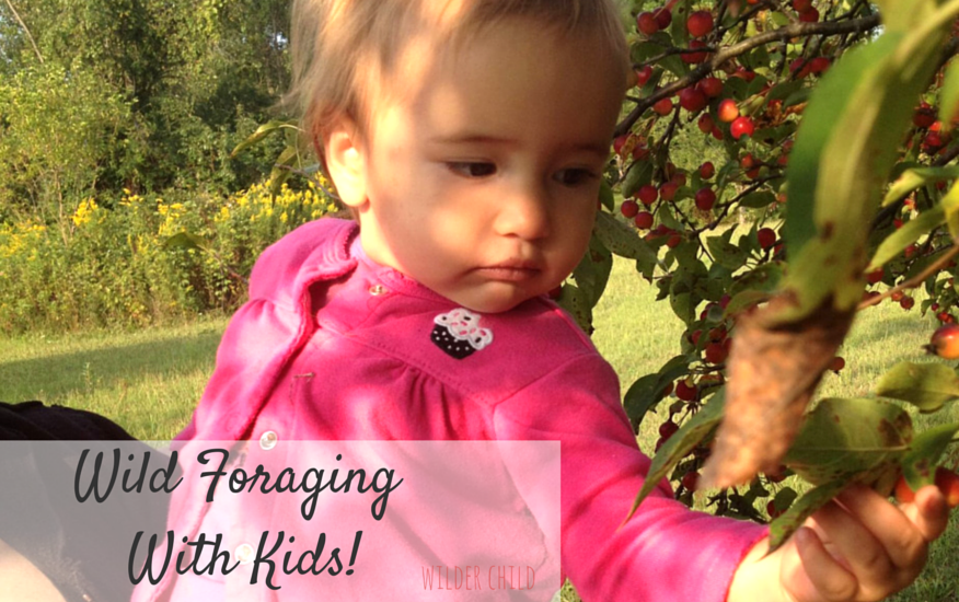 A Beginners Guide to Foraging for Wild Edibles With Kids