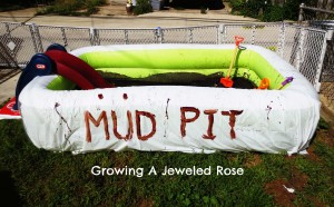 Mud themed party for kids