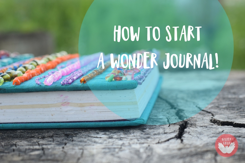 How to Start a Wonder Journal