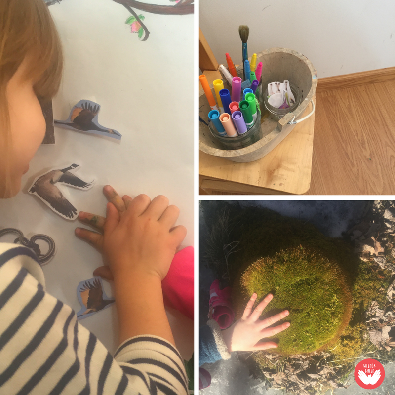 Tracking and Studying Spring Signs With Kids