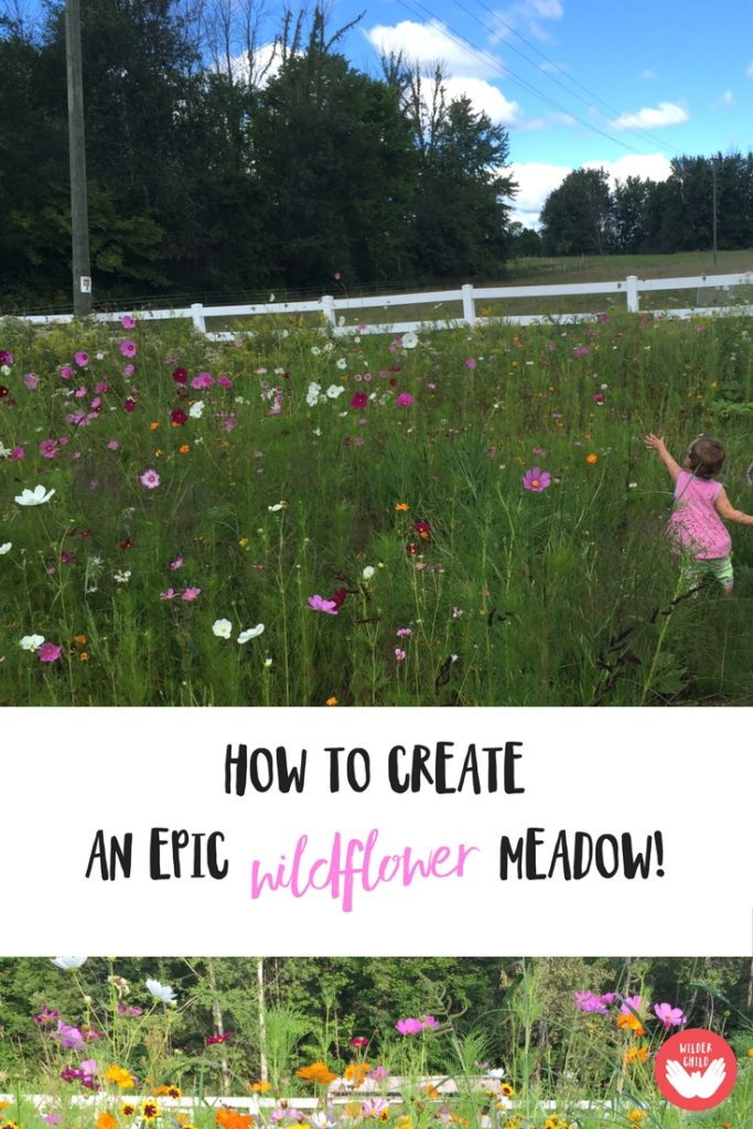 How to plant an EPIC wildflower meadow the kids will love!