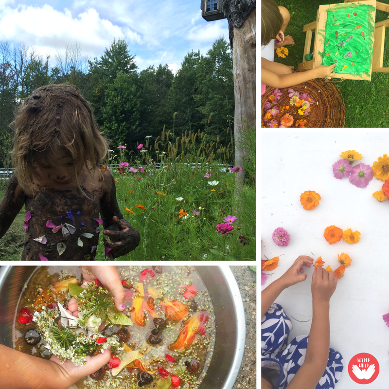 Plant and create an incredible wildflower meadow for the kids