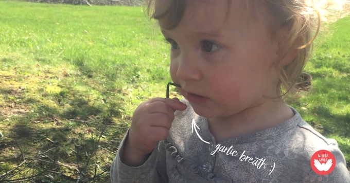 Foraging for Wild Edibles With Children