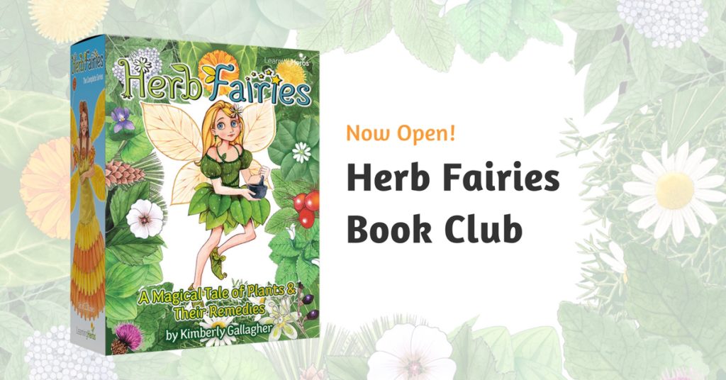 Herb Fairies wild crafting and foraging with kids 