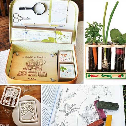 Botany Gifts for Kids 