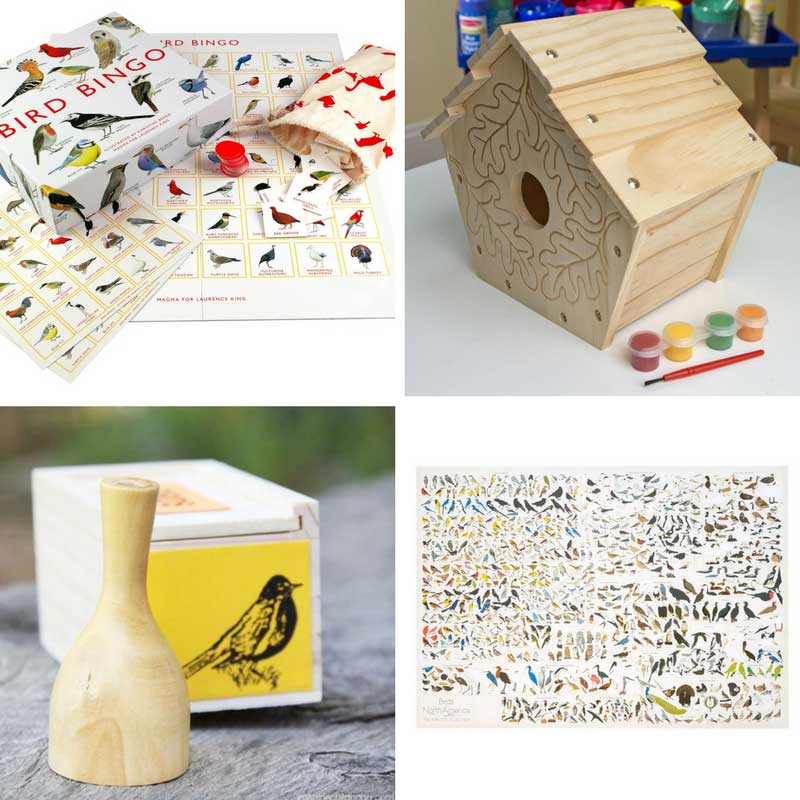 Ornithology gifts for children 